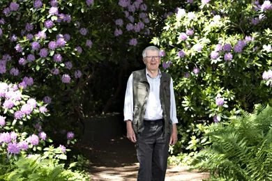 En mand går foran en rhododendron