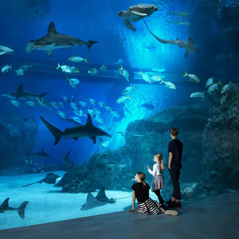 Som medlem af UlykkesPatientForeningen kan du faa rabat på en raekke kulturtilbud og oplevelser i hele landet.